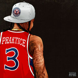 Cover of Praktice