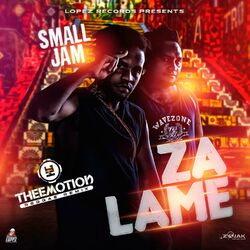 Cover of Za Lame (Theemotion Remix)