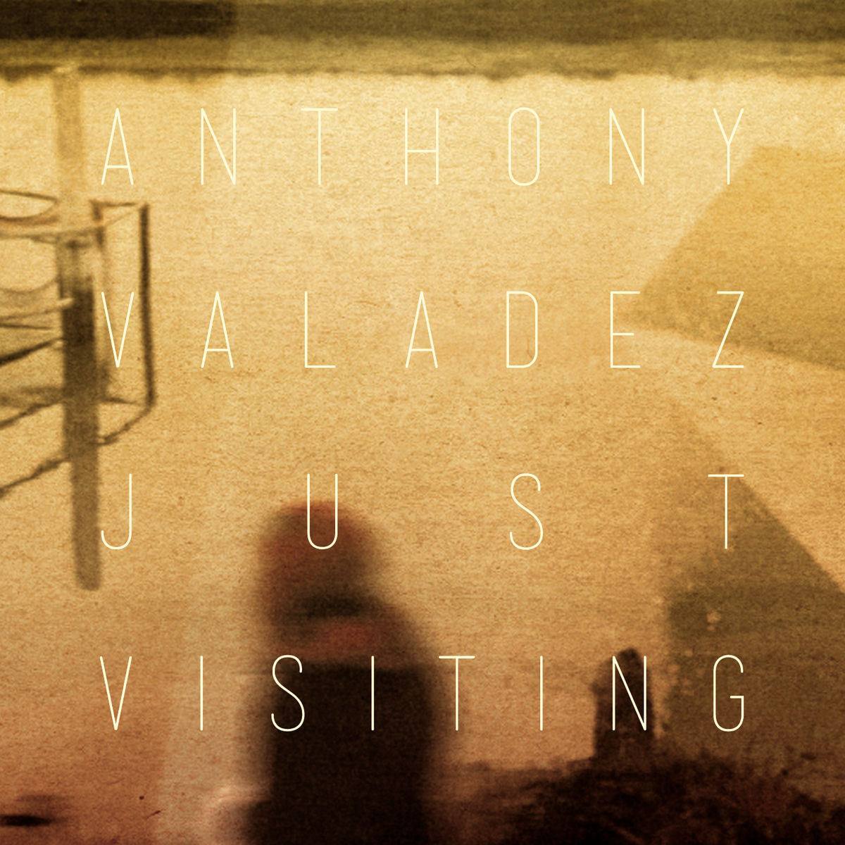 Album cover of Just Visiting