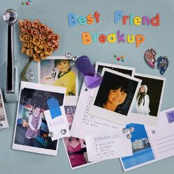 Cover of Best Friend Breakup