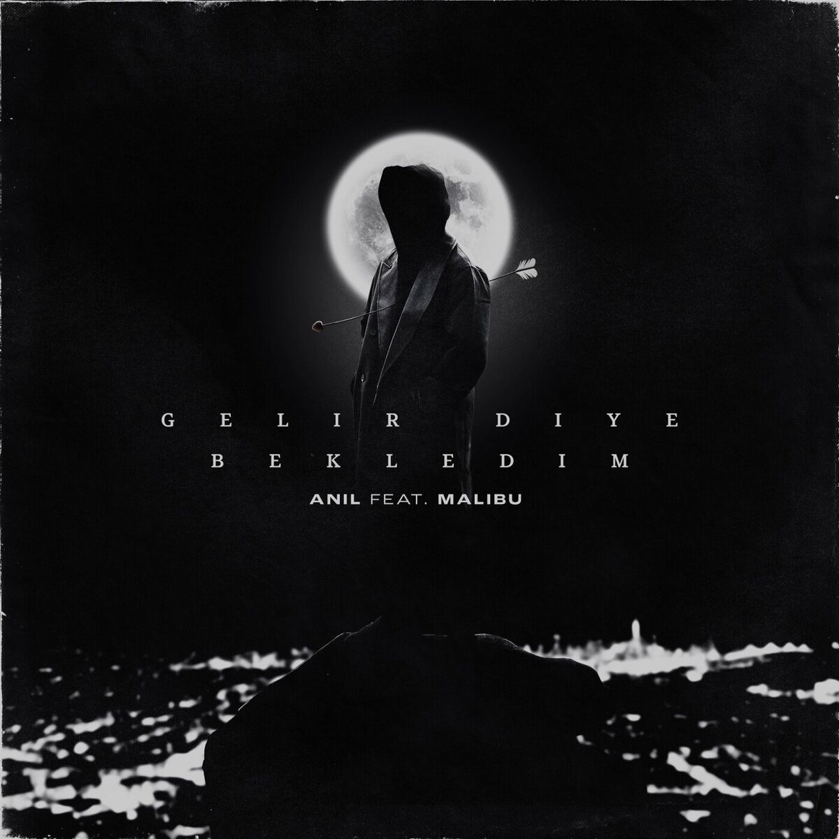 Album cover of Gelir diye bekledim