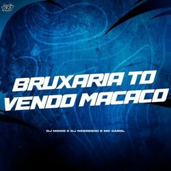 Cover of BRUXARIA TO VENDO MACACO