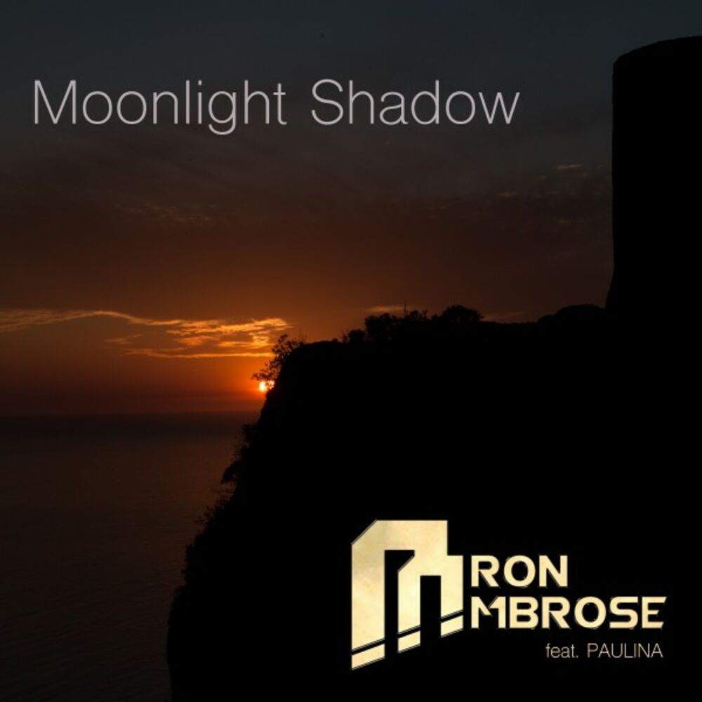 Picture of Moonlight Shadow