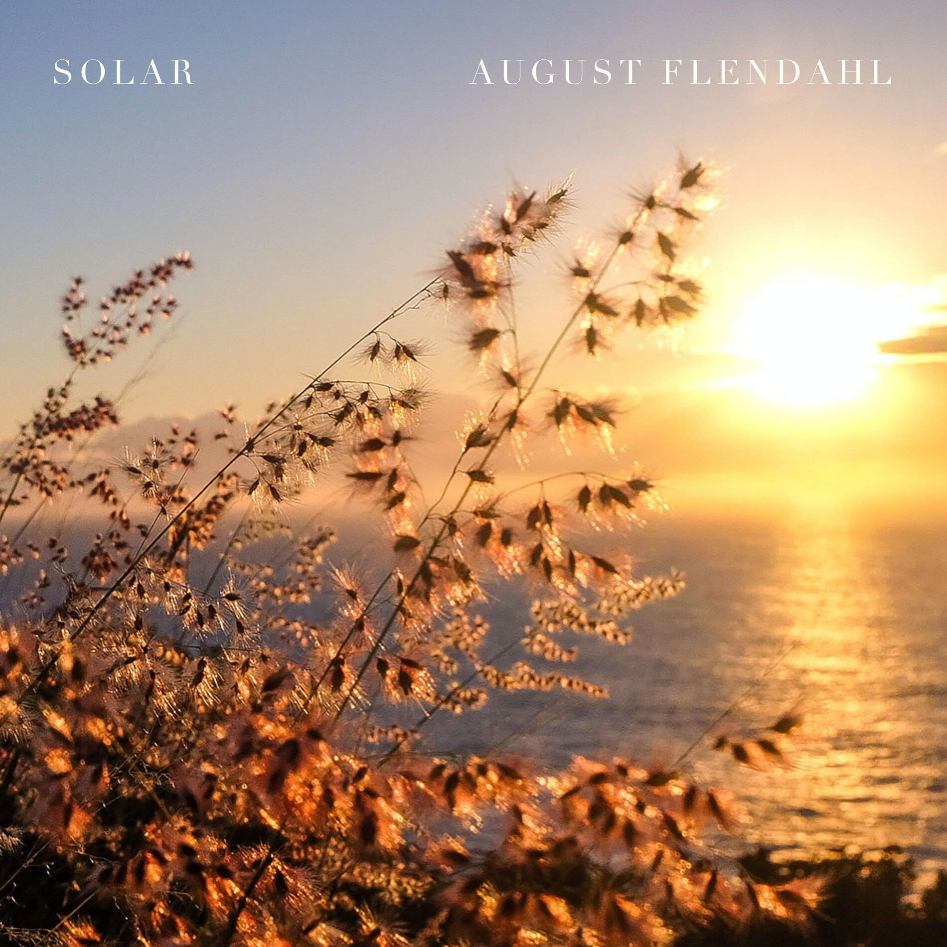 Album cover of Solar