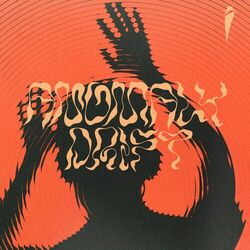 Cover of Anomaly / Drift