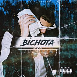 Cover of Bichota
