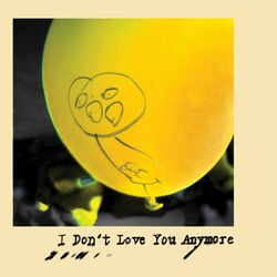 Cover of I Don't Love You Anymore