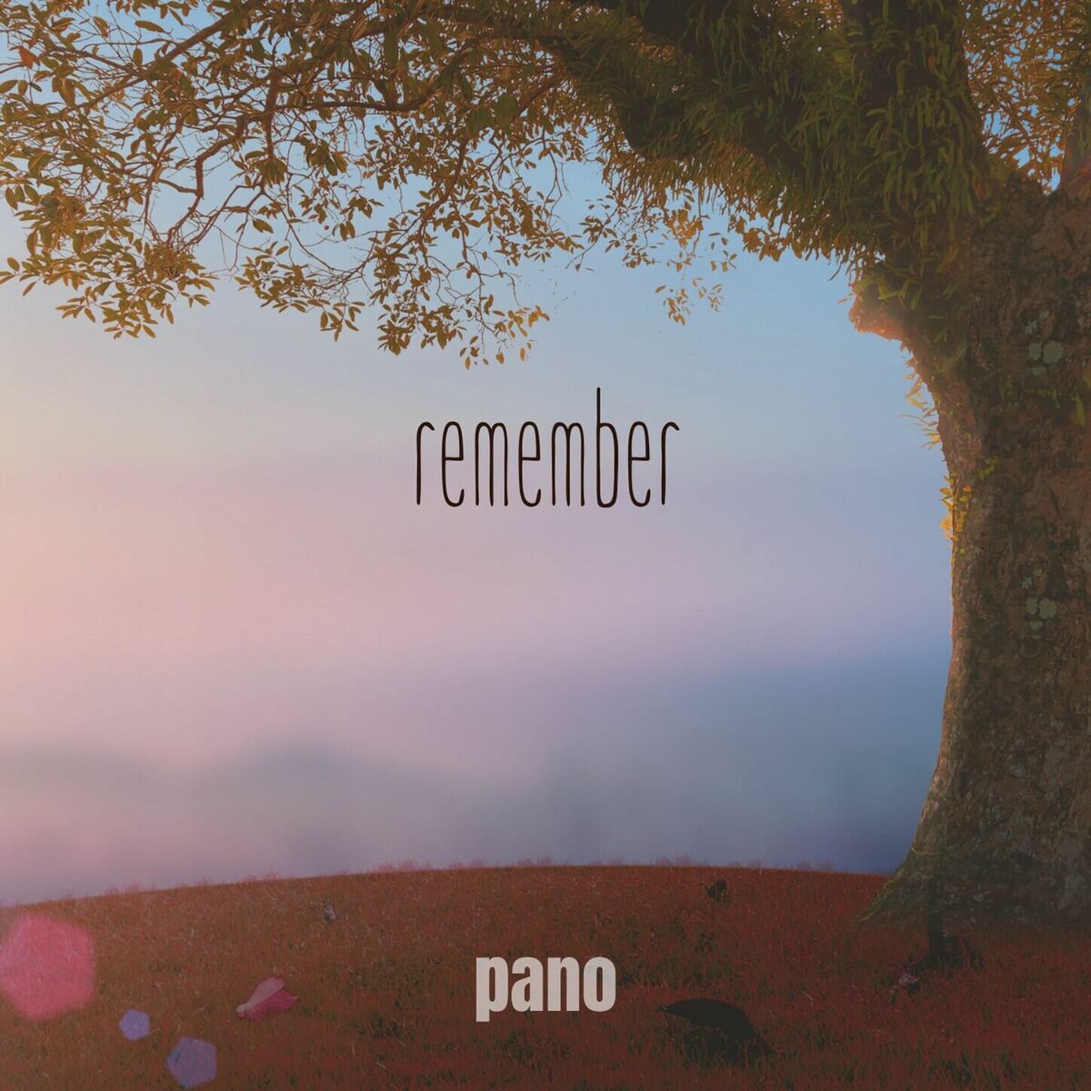 Album cover of Remember