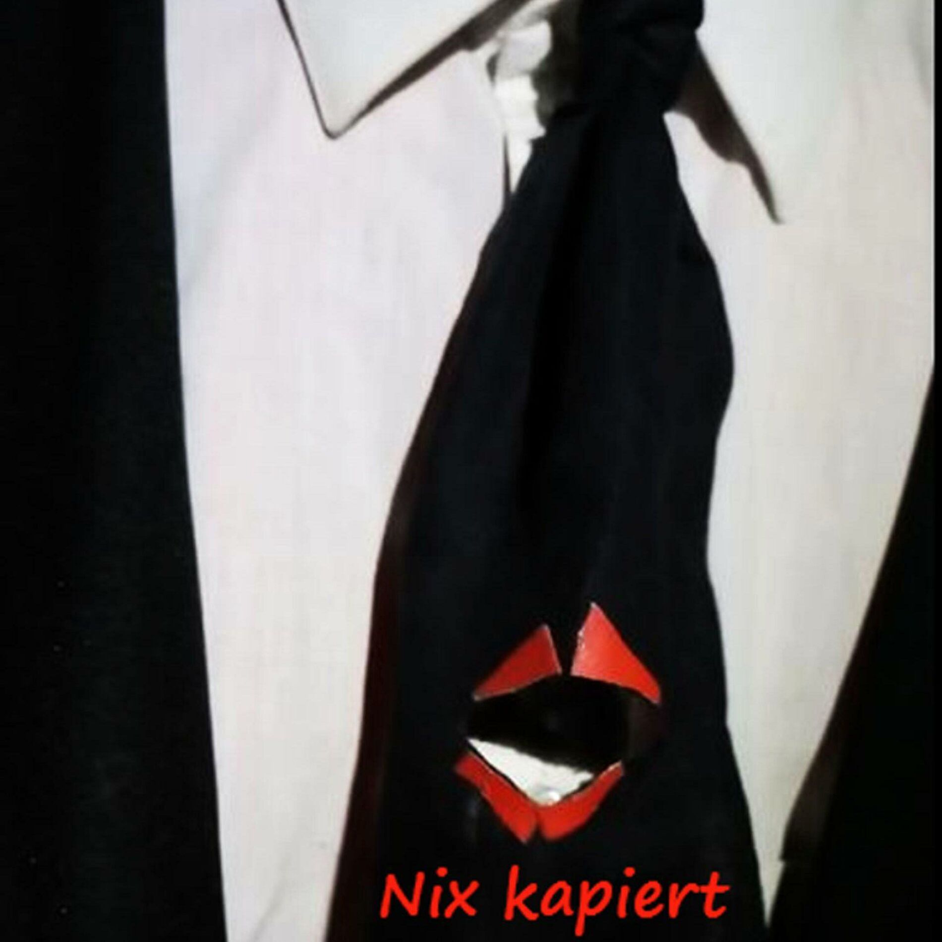 Album cover of Nix kapiert