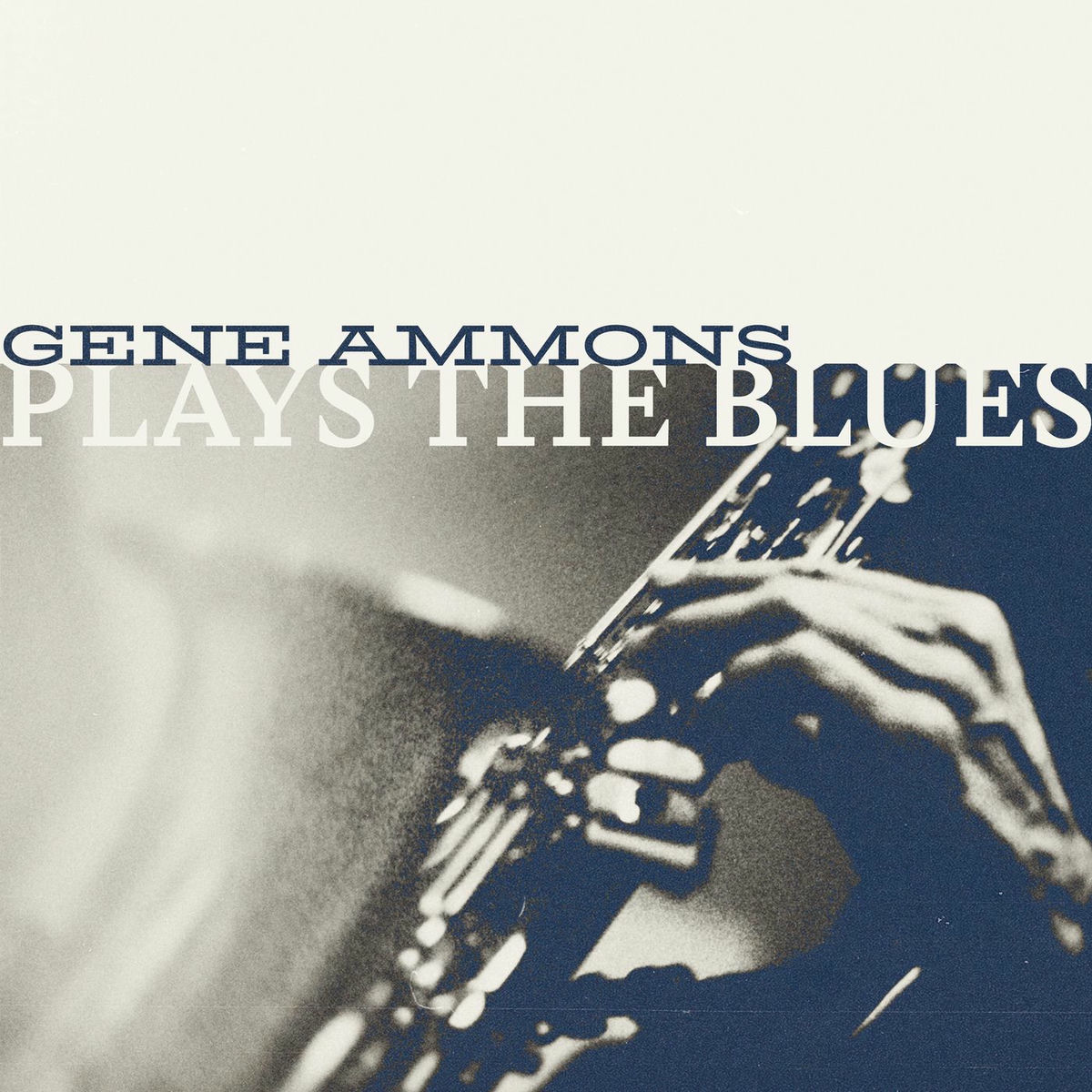 Album cover of Plays The Blues