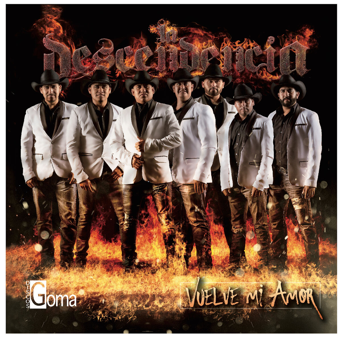 Album cover of Vuelve Mi Amor