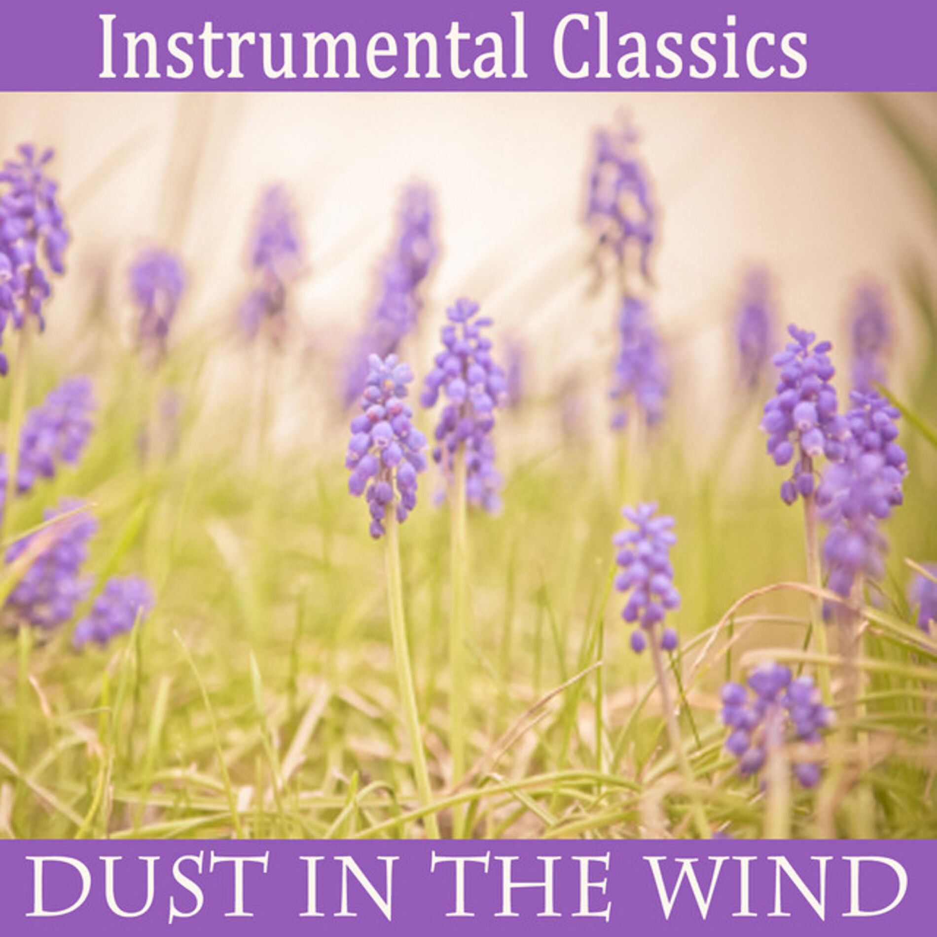 Album cover of Instrumental Classics: Dust in the Wind