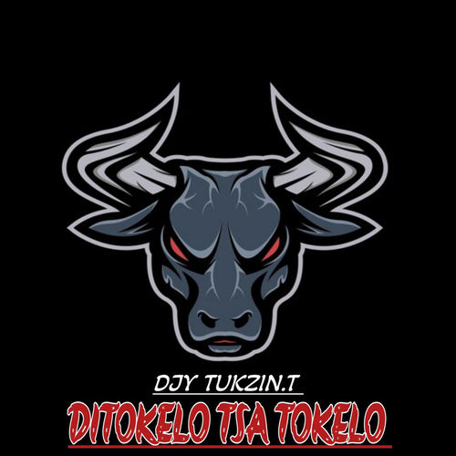 Ditokelo Tsa Tokelo