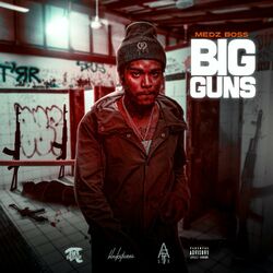 Cover of Big Guns