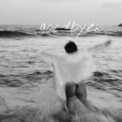 goodbye~