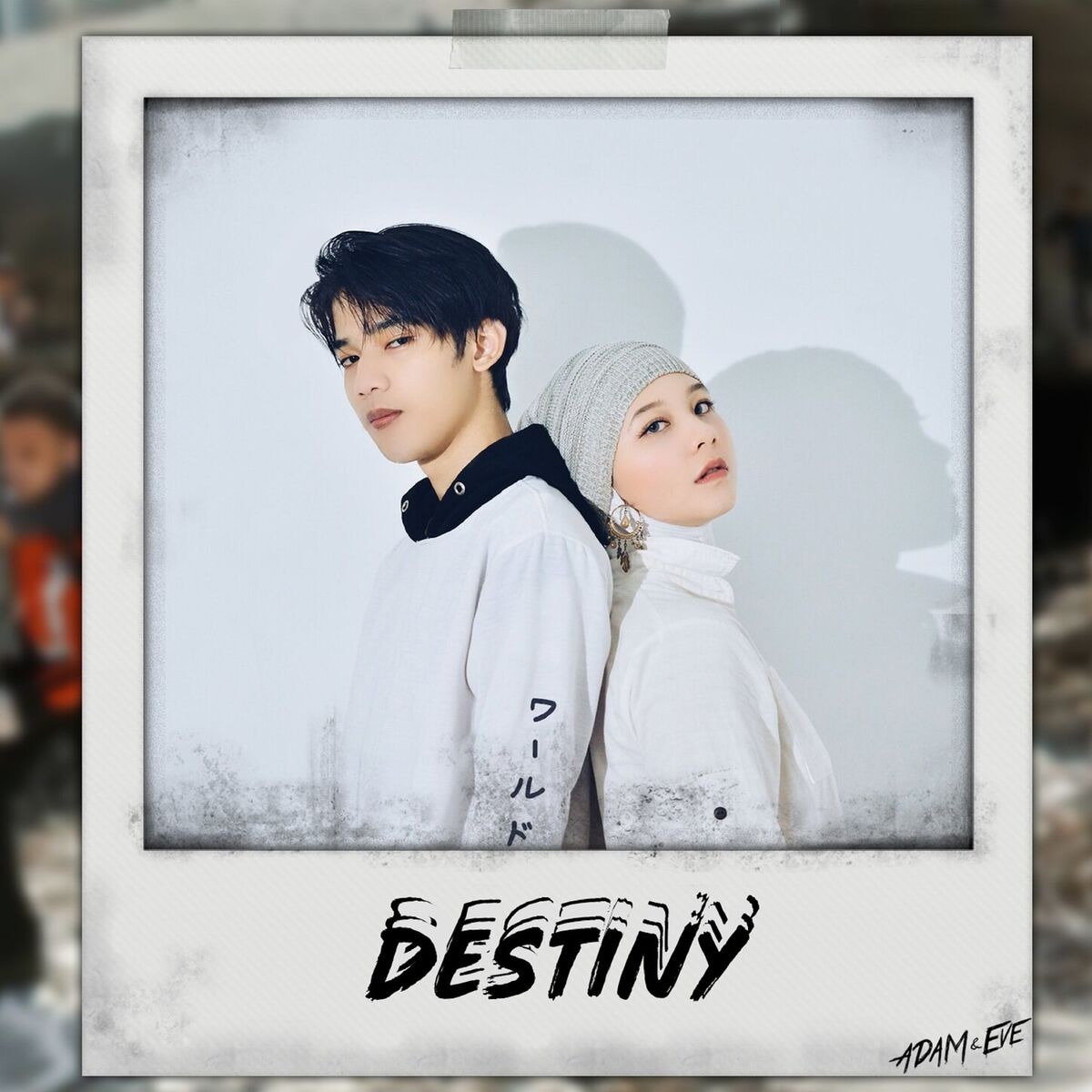 Album cover of Destiny