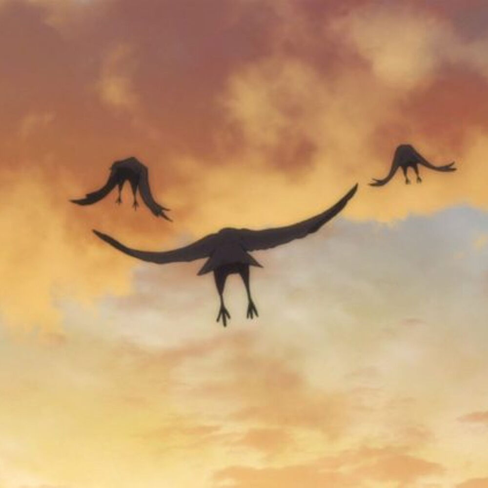 Picture of Raven