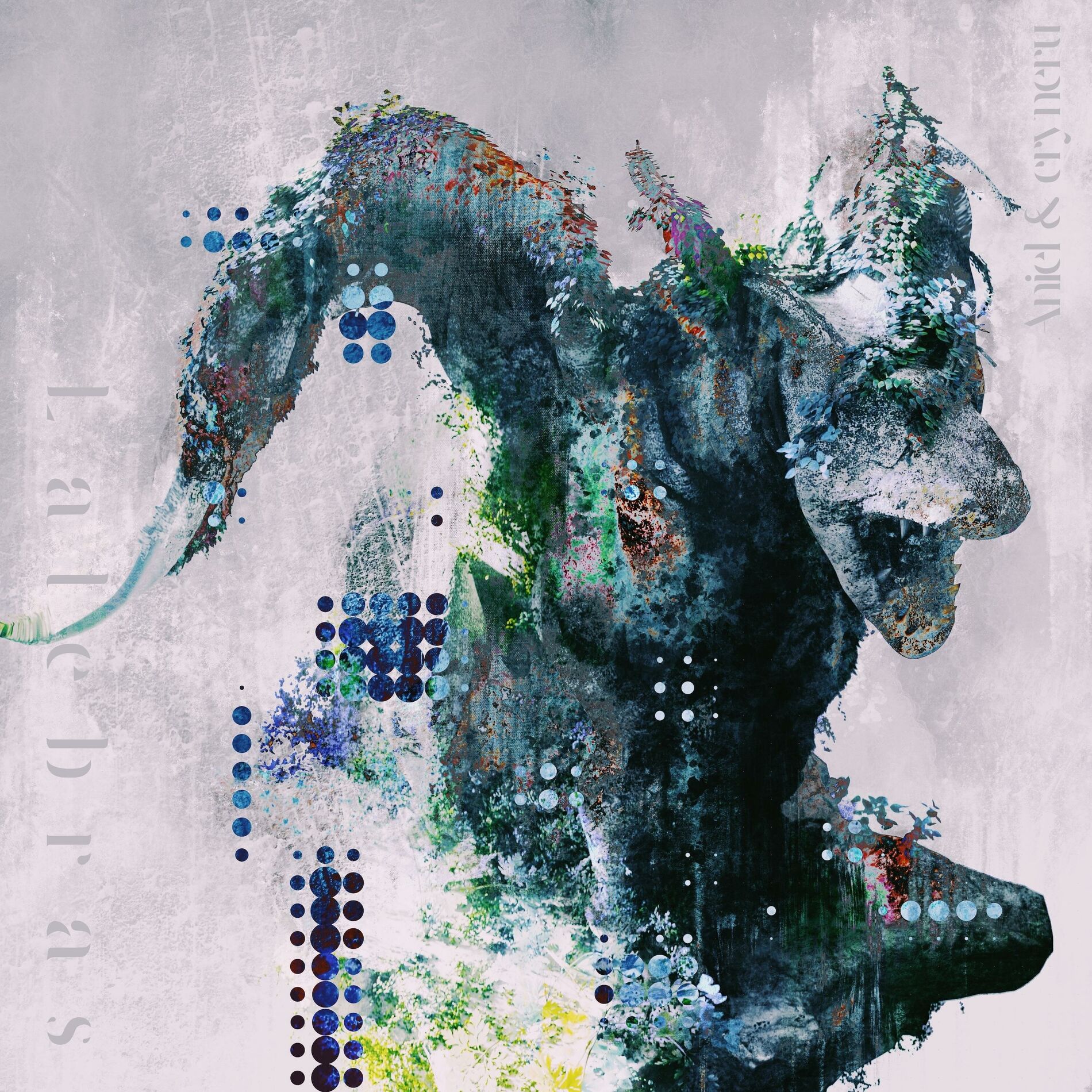 Album cover of Latebras