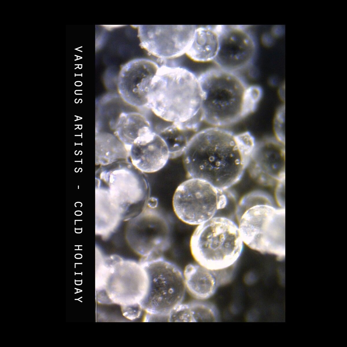 Album cover of Cold Holiday