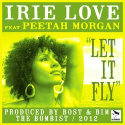 Cover of Let It Fly