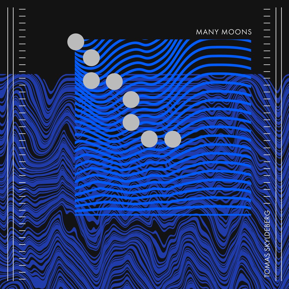 Picture of Many Moons
