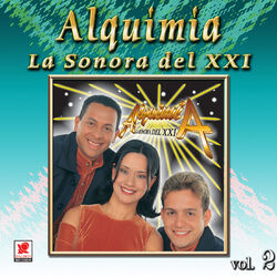 Cover of Colección De Oro, Vol. 2