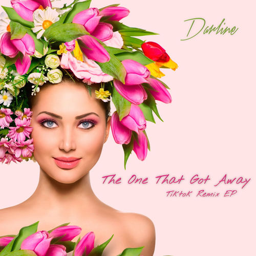 The One That Got Away (Tiktok Remix EP) artwork