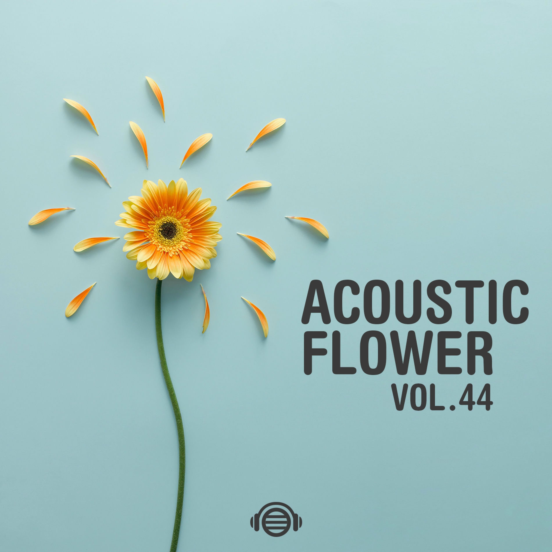 Acoustic Flower: albums, songs, concerts | Deezer