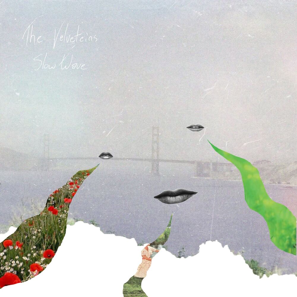 Picture of Slow Wave