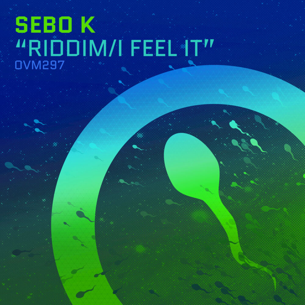 Picture of Riddim / I Feel It