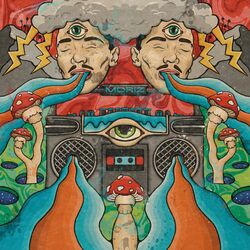 Cover of Riddla