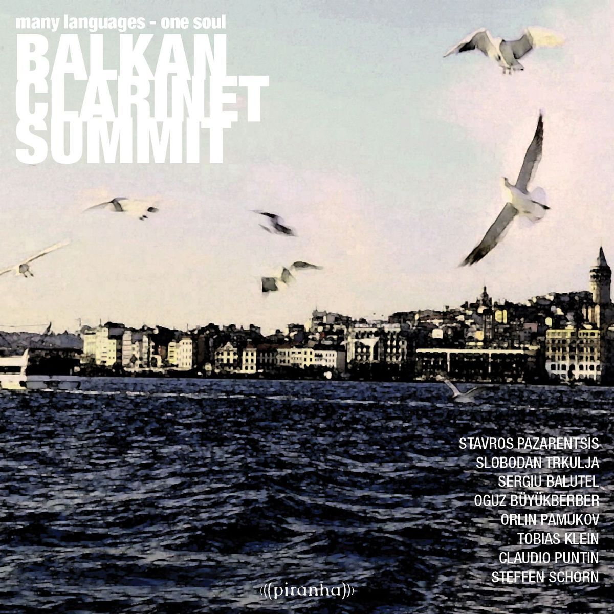 Album cover of Many Languages - One Soul