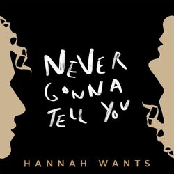 Cover of Never Gonna Tell You