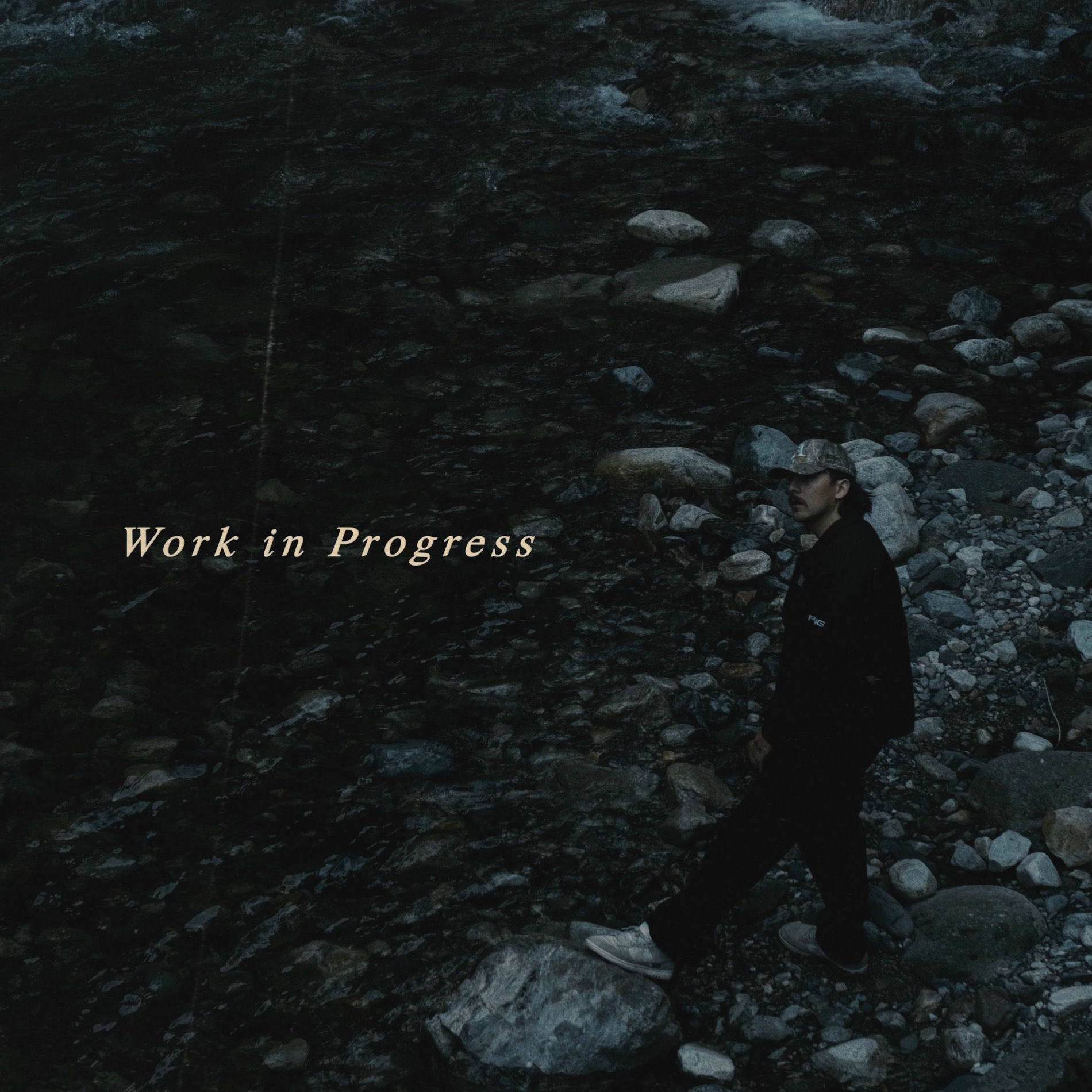 Album cover of Work In Progress