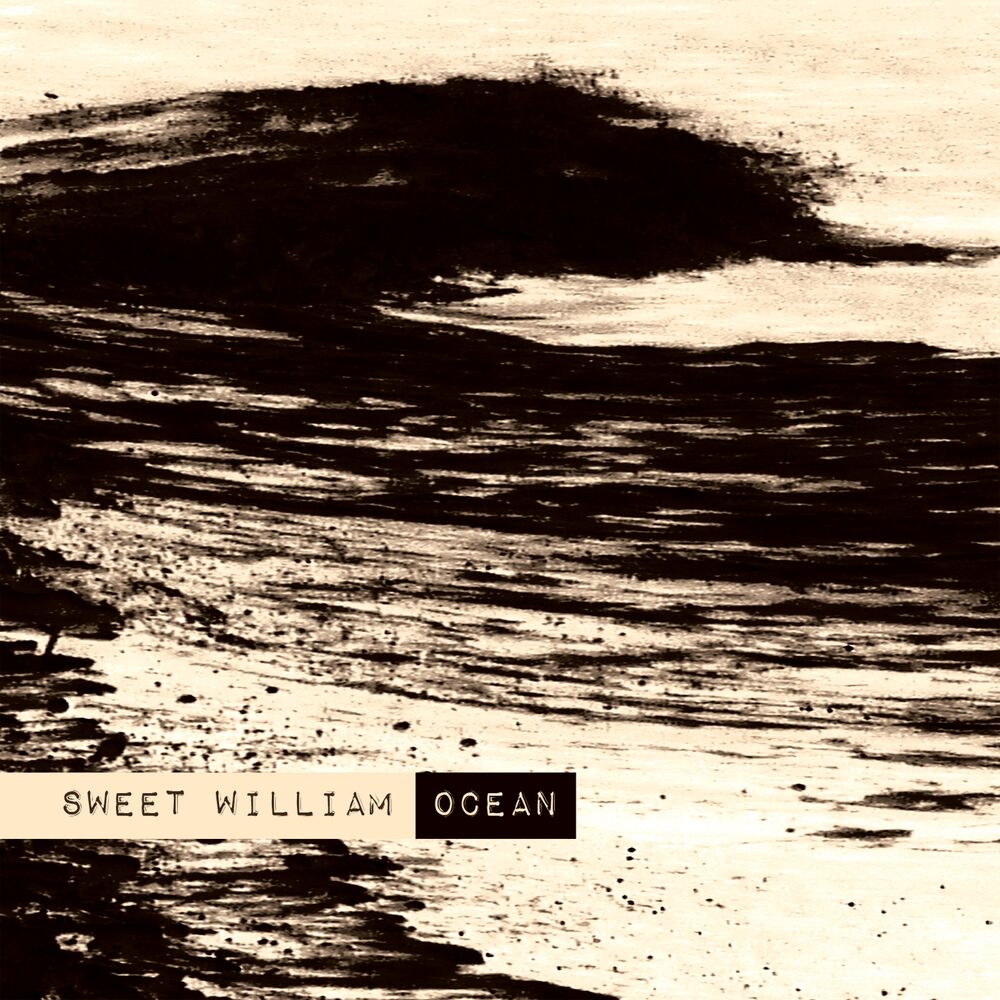 Picture of Ocean