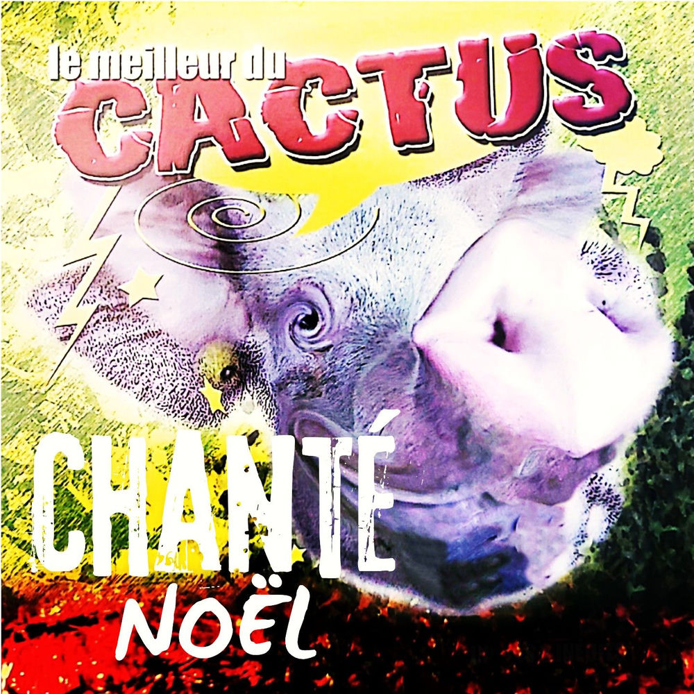 Album artwork for Voisin by cactus