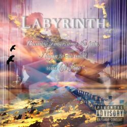 Cover of LABYRINTH