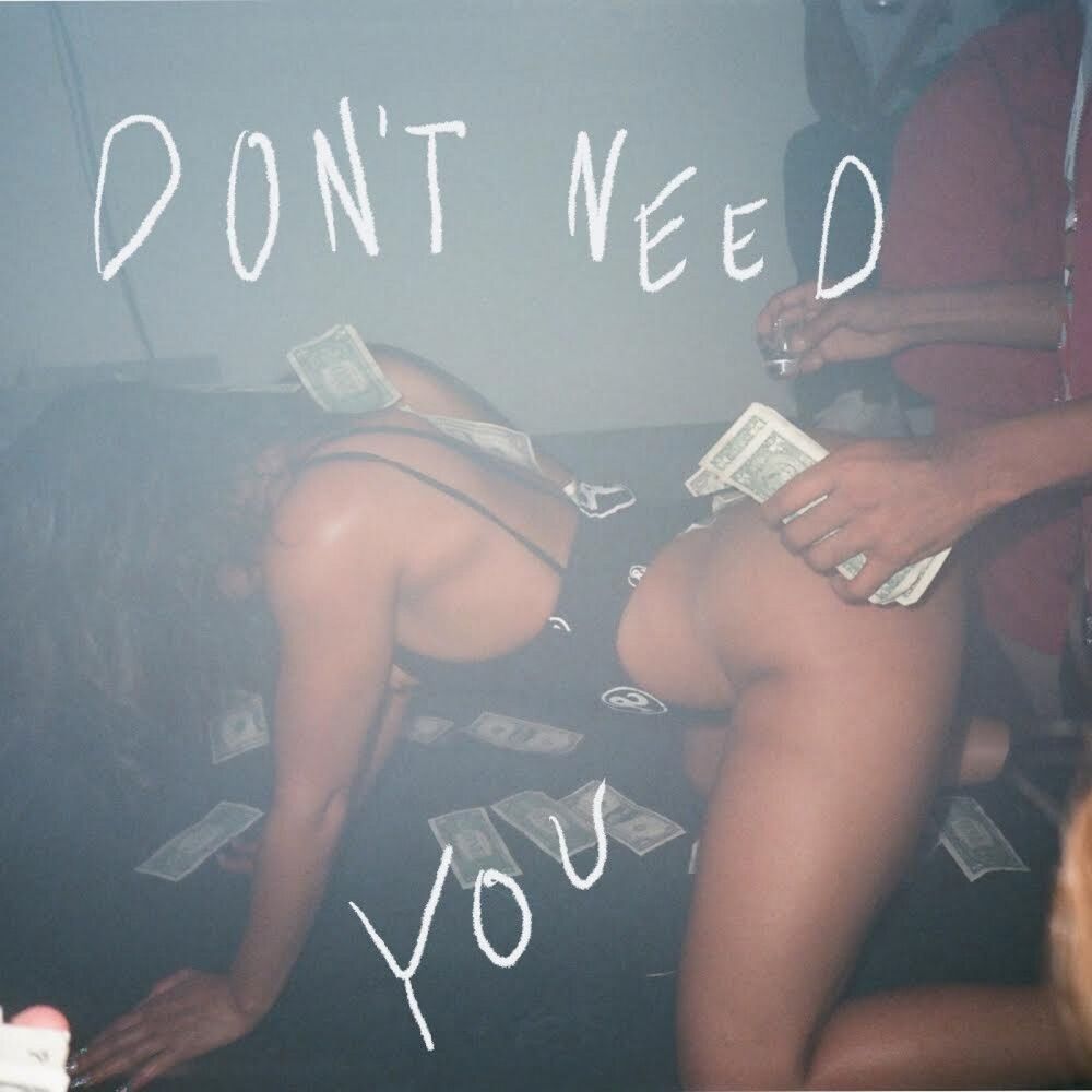 Picture of Don't Need You