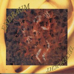 Cover of Zeitenlicht