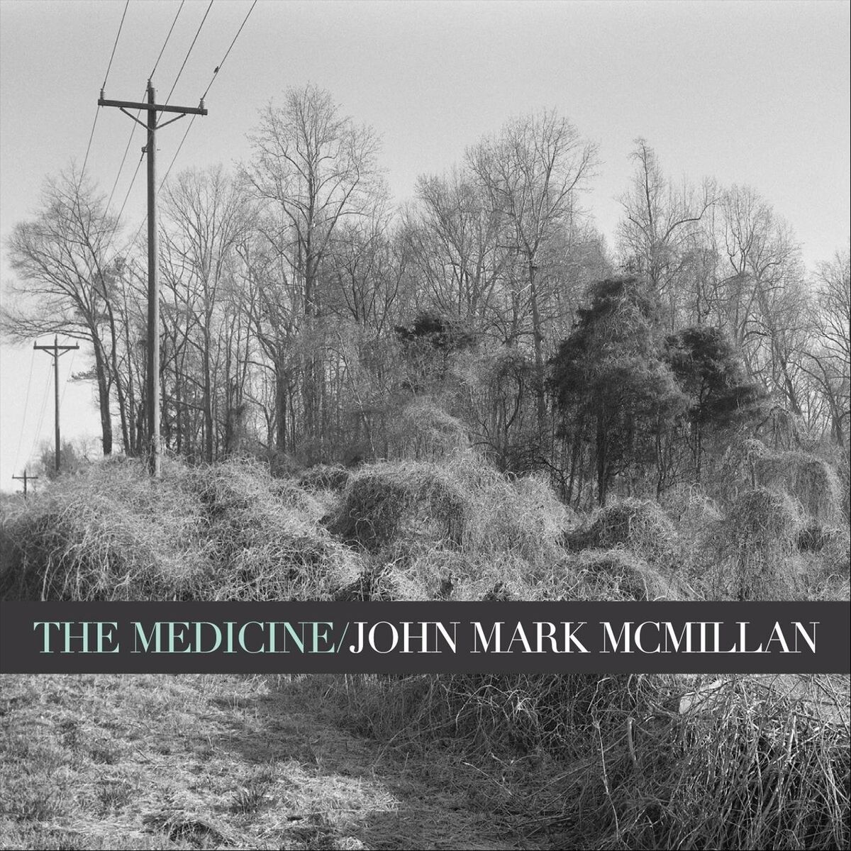 Album cover of The Medicine