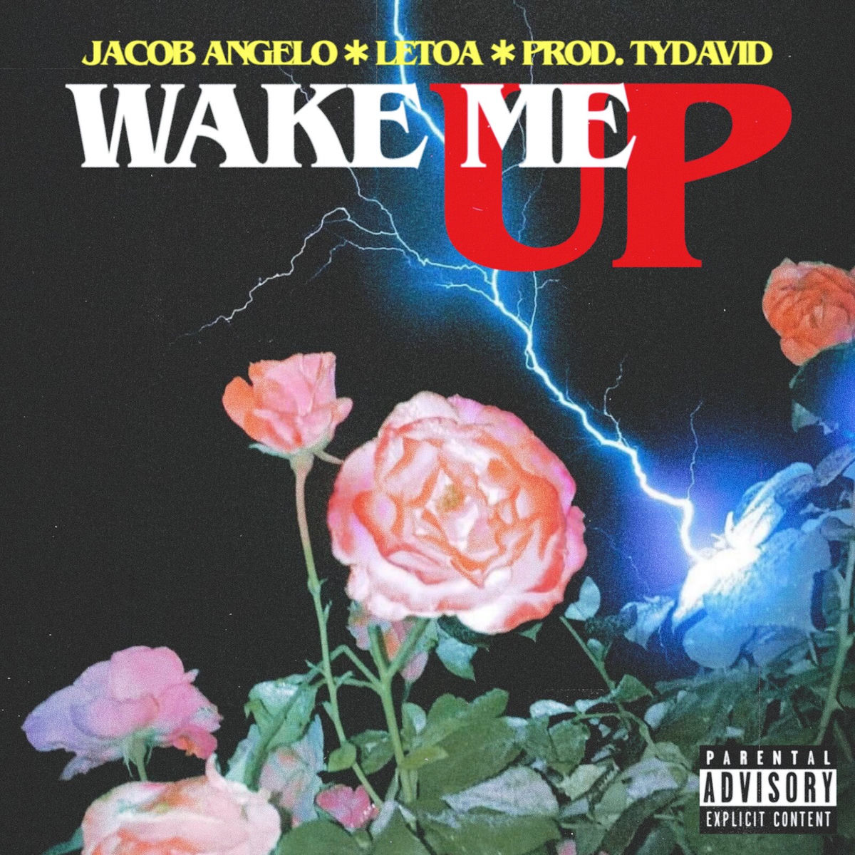 Album cover of Wake Me Up