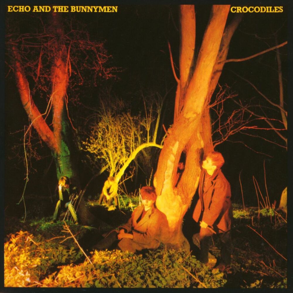 Picture of Crocodiles