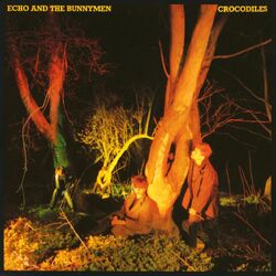 Cover of Crocodiles