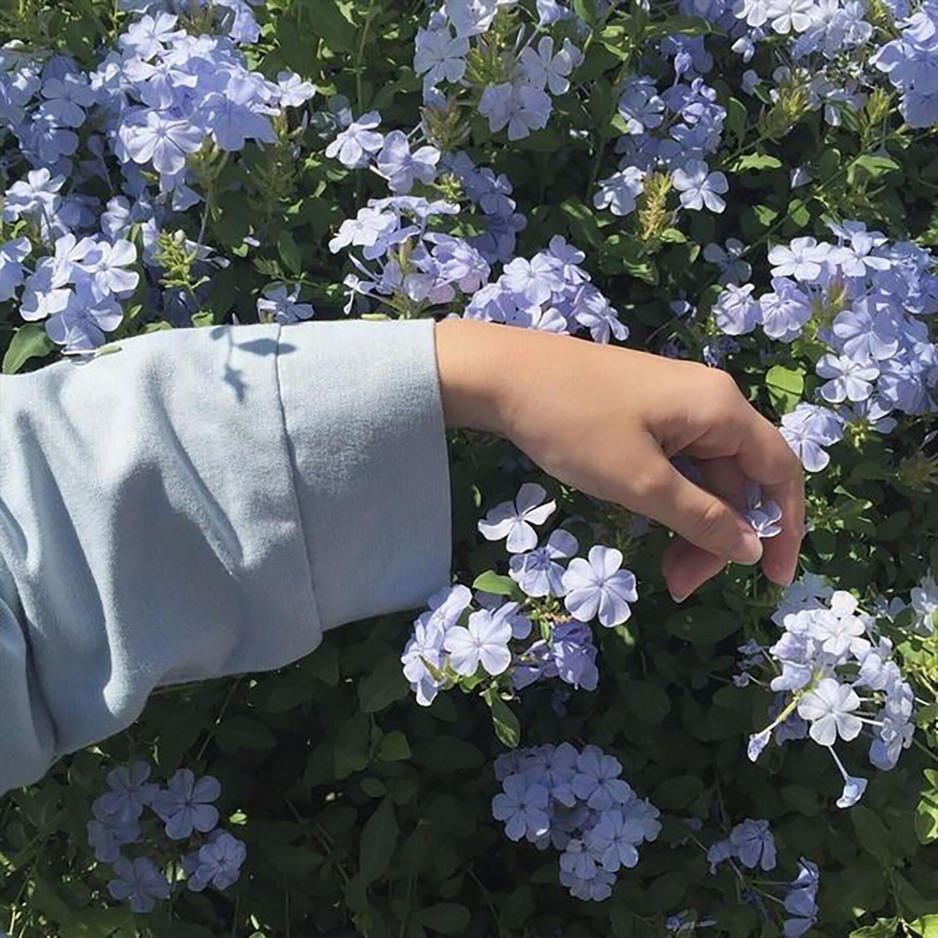 Album cover of Hey Girl