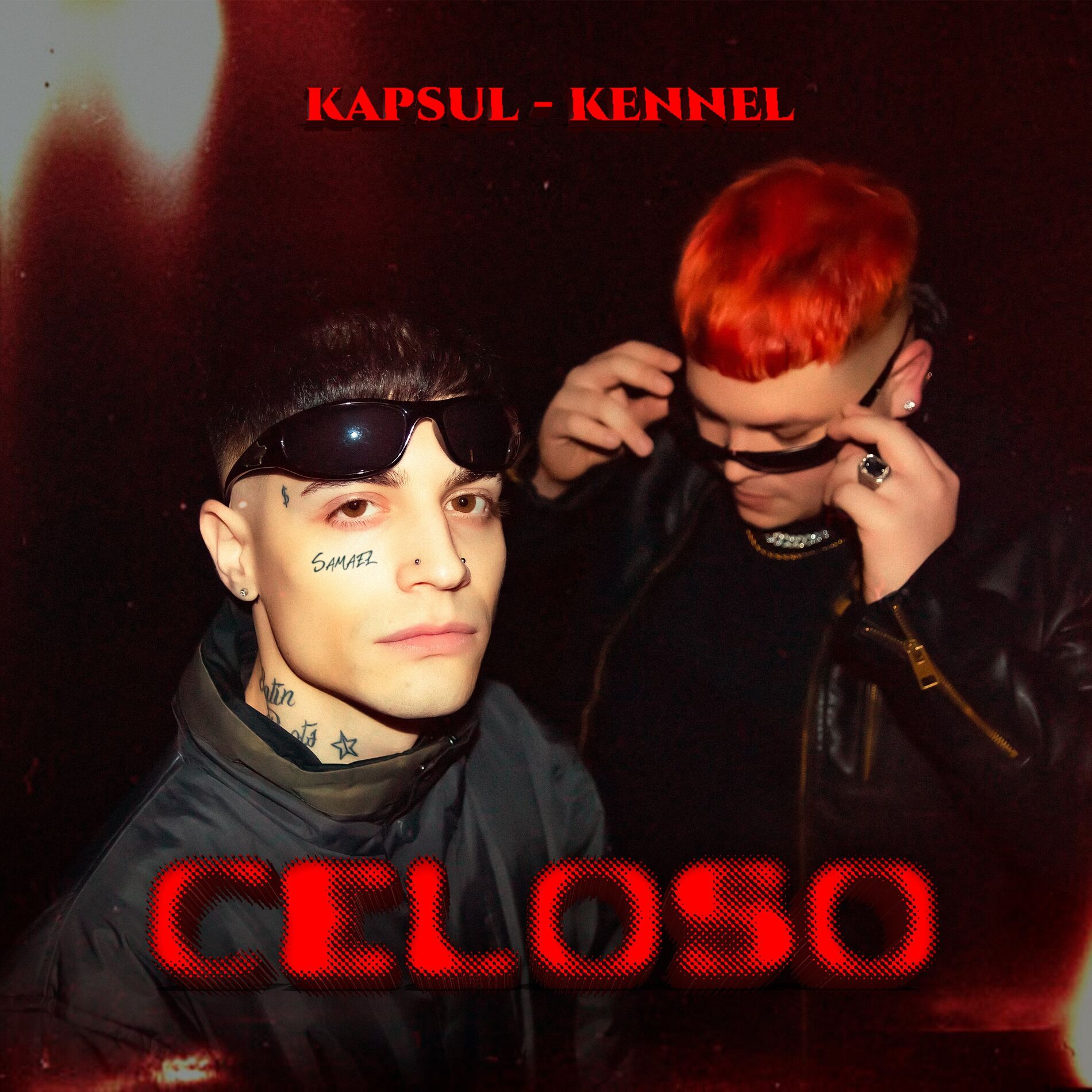 Album cover of Celoso