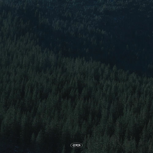 0701 – Goodbye – Single