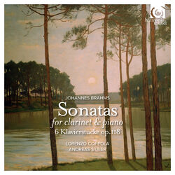 Cover of Brahms: Sonatas for clarinet and piano Op. 120