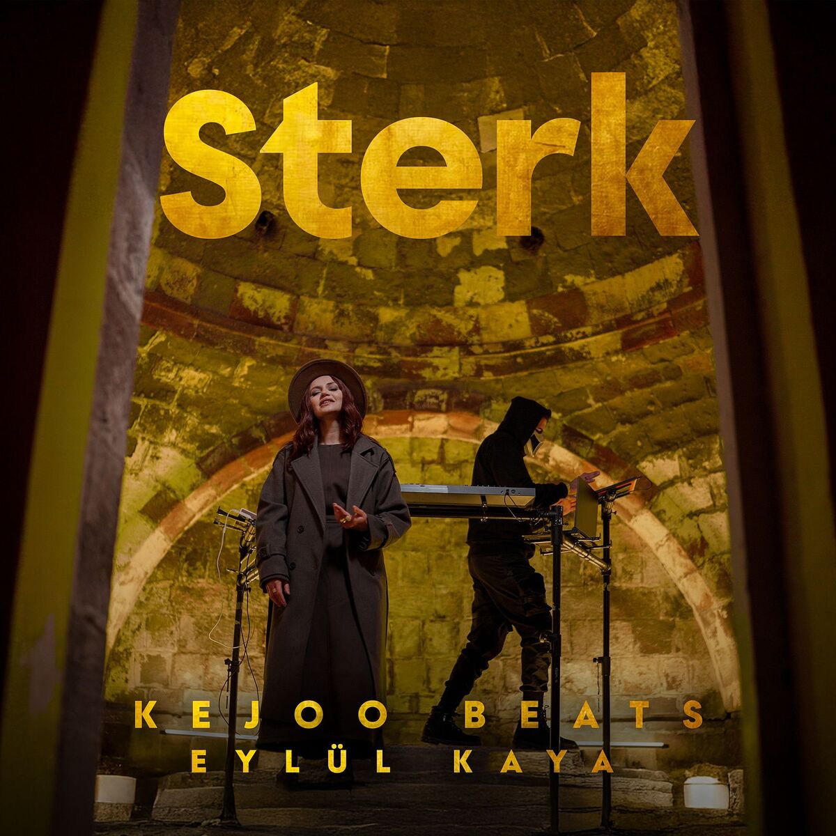 Album cover of Sterk