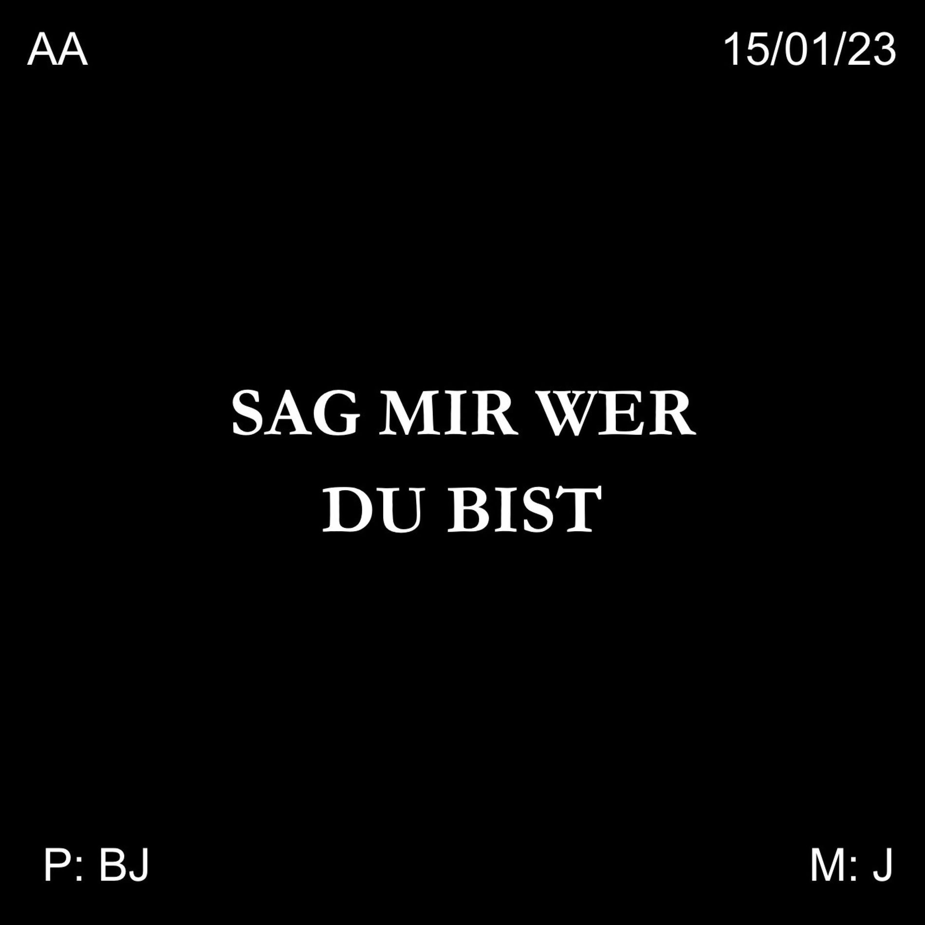 Album cover of SAG MIR WER DU BIST (EXTENDED)