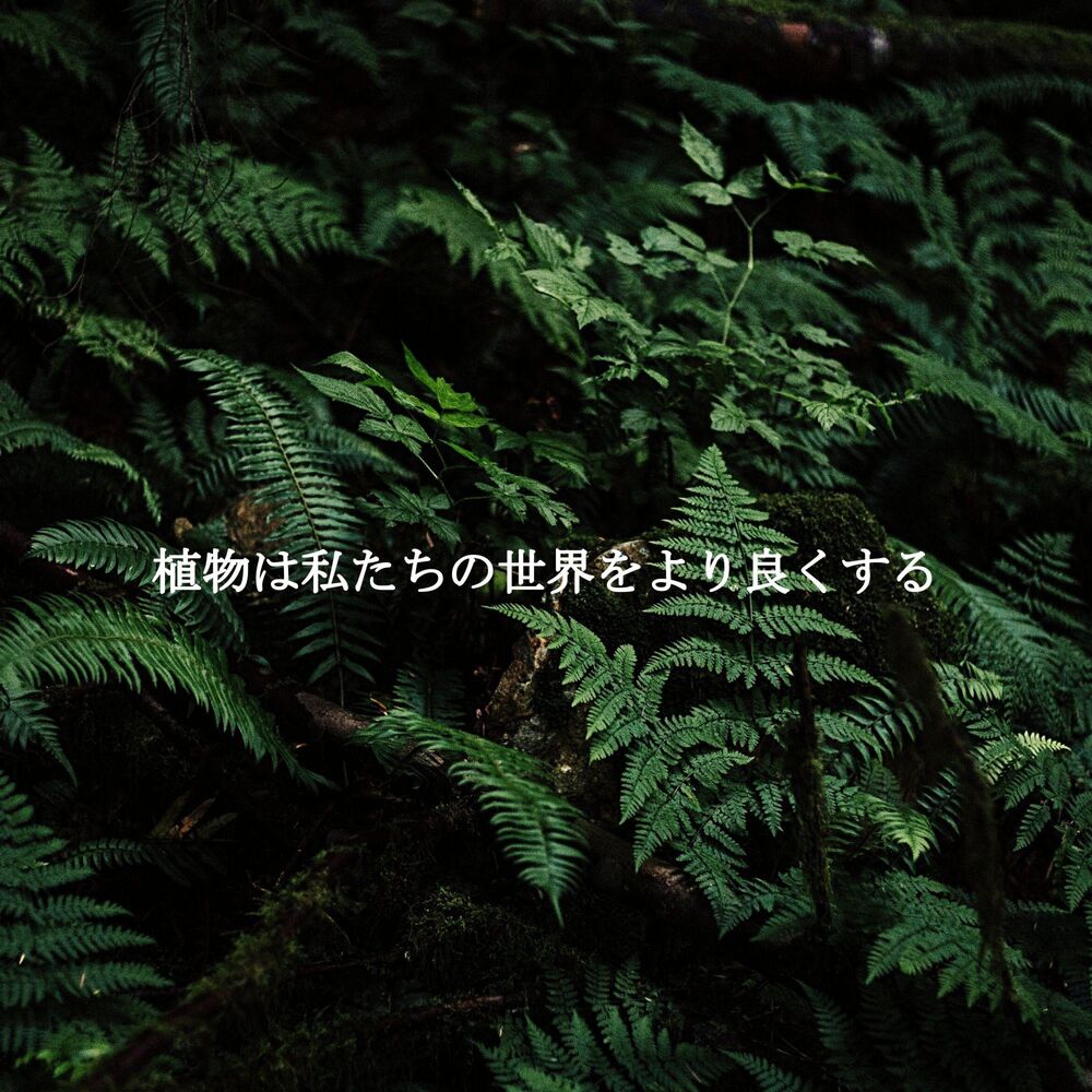 Picture of 植物は私たちの世界をより良くする
